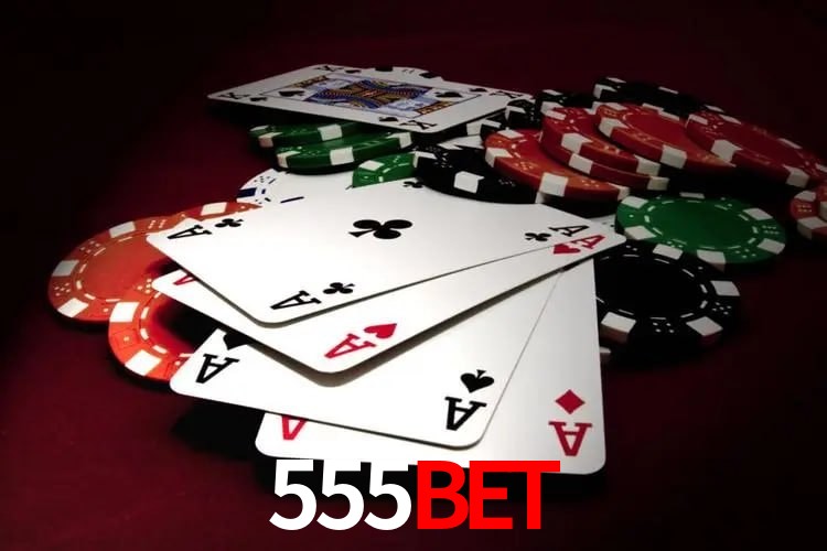 Interface Premium 555bet